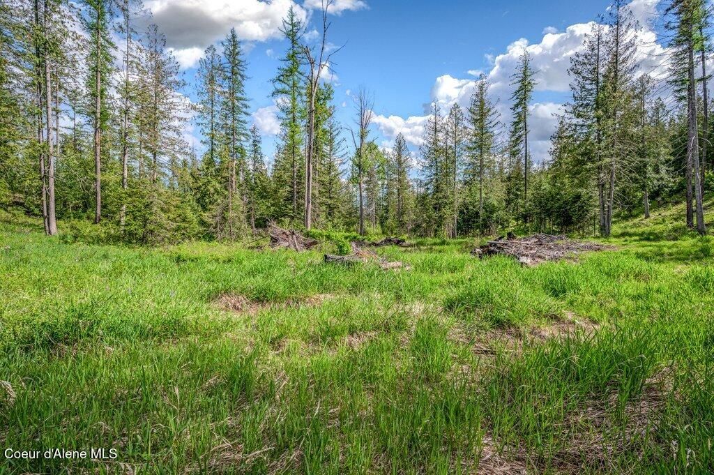 NNA Oleander Dr., Lot 1, Sandpoint, ID 83864