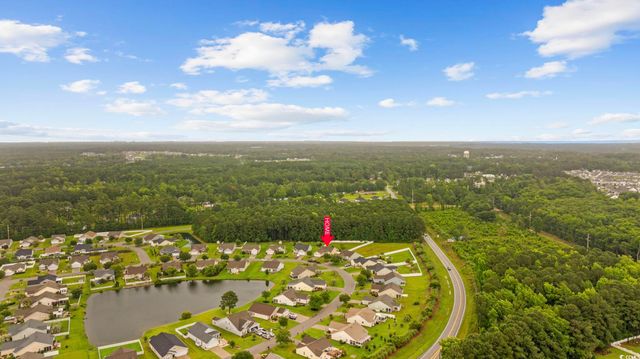 195 Black Pepper Loop, Little River, SC 29566