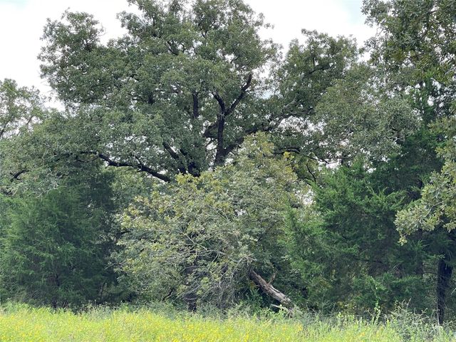 495 Cypress Trail LOOP, Rockdale, TX 76567