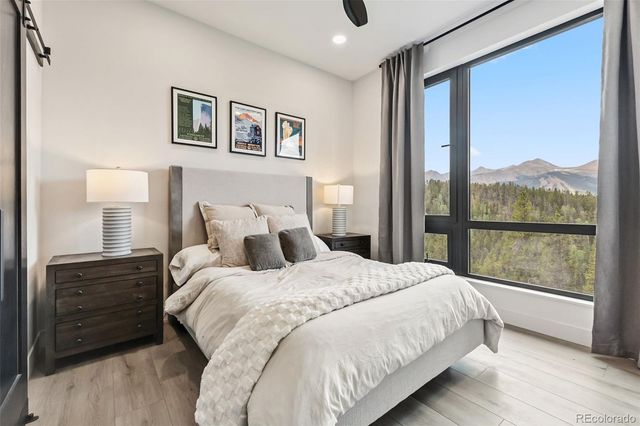 2520 Boreas Pass Road, Breckenridge, CO 80424