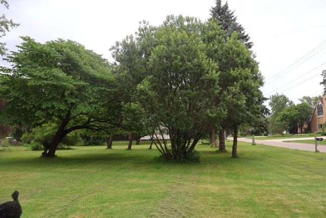 4032 Richmond Street Nw, City Of Walker, MI 49534