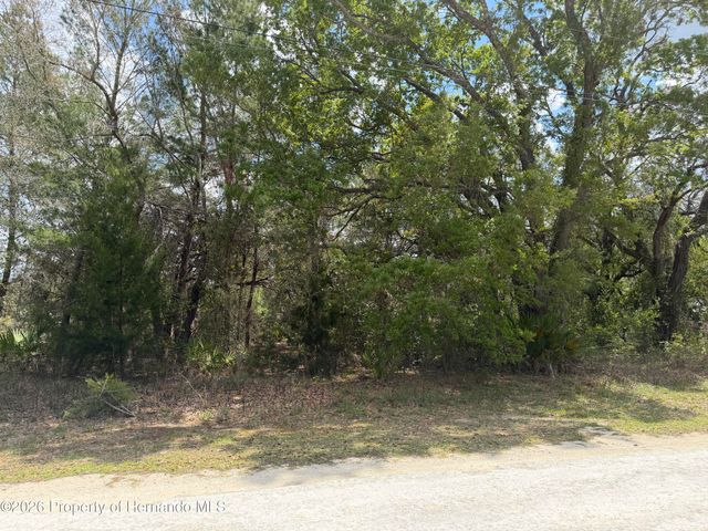 0 Bastian Court, Weeki Wachee, FL 34613