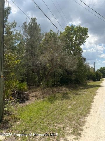 0 Bastian Court, Weeki Wachee, FL 34613