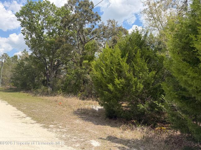 0 Bastian Court, Weeki Wachee, FL 34613