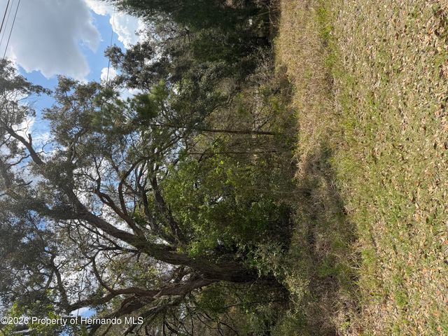 0 Bastian Court, Weeki Wachee, FL 34613