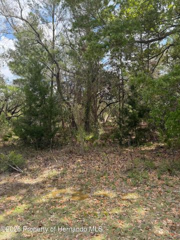 0 Bastian Court, Weeki Wachee, FL 34613