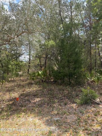0 Bastian Court, Weeki Wachee, FL 34613