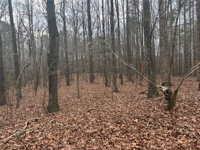 850 Bethel Church SE Road, Silver Creek, GA 30173