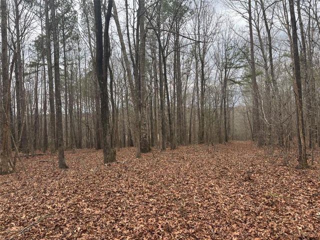 850 Bethel Church SE Road, Silver Creek, GA 30173