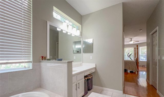 9046 SHENANDOAH RUN, Wesley Chapel, FL 33544