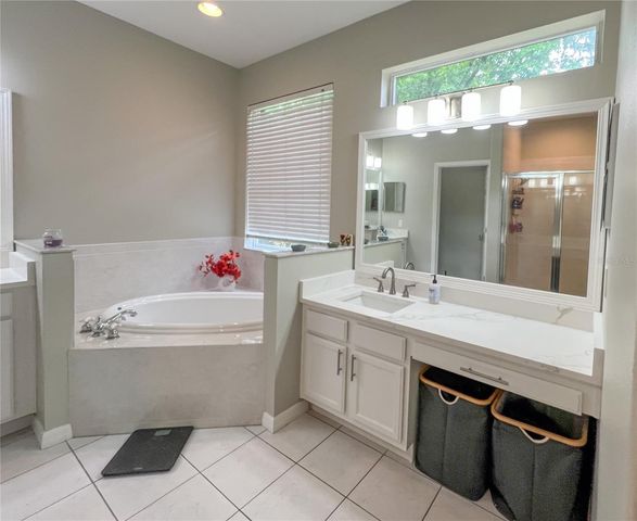 9046 SHENANDOAH RUN, Wesley Chapel, FL 33544