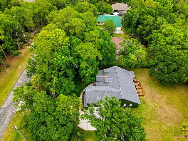 9046 SHENANDOAH RUN, Wesley Chapel, FL 33544