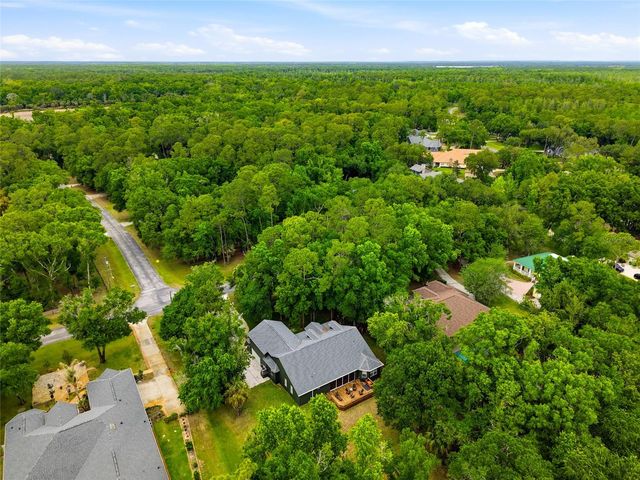 9046 SHENANDOAH RUN, Wesley Chapel, FL 33544