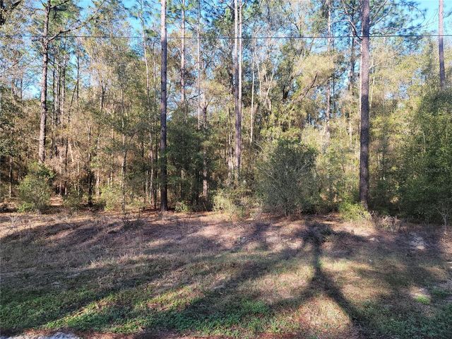 00 SW 133RD COURT, Ocala, FL 34481