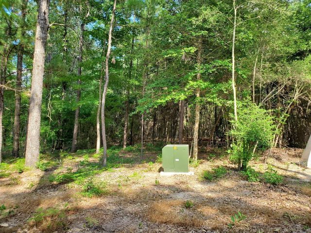 331 County Road 3240, Colmesneil, TX 75938