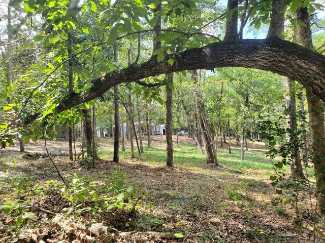 331 County Road 3240, Colmesneil, TX 75938