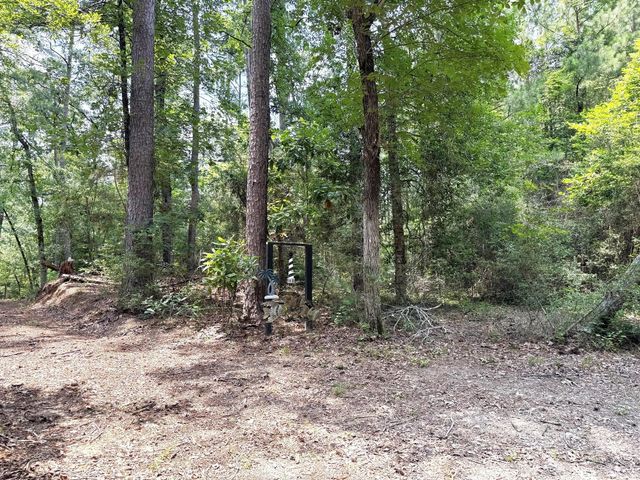 331 County Road 3240, Colmesneil, TX 75938