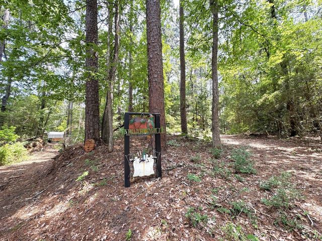 331 County Road 3240, Colmesneil, TX 75938