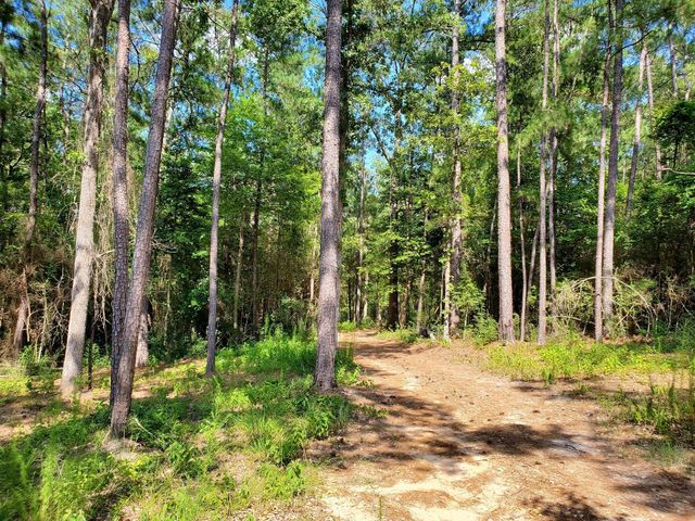 331 County Road 3240, Colmesneil, TX 75938