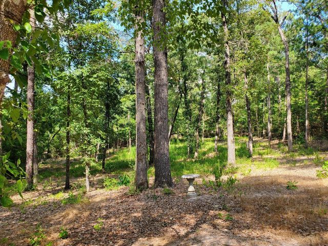 331 County Road 3240, Colmesneil, TX 75938