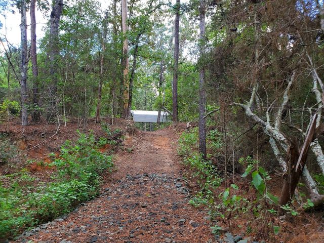 331 County Road 3240, Colmesneil, TX 75938