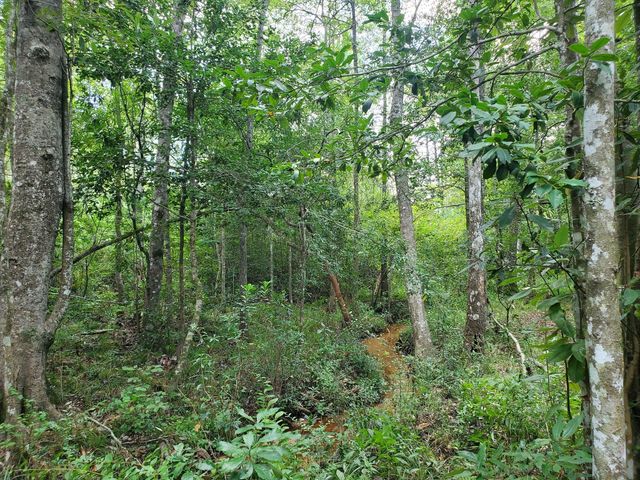 331 County Road 3240, Colmesneil, TX 75938