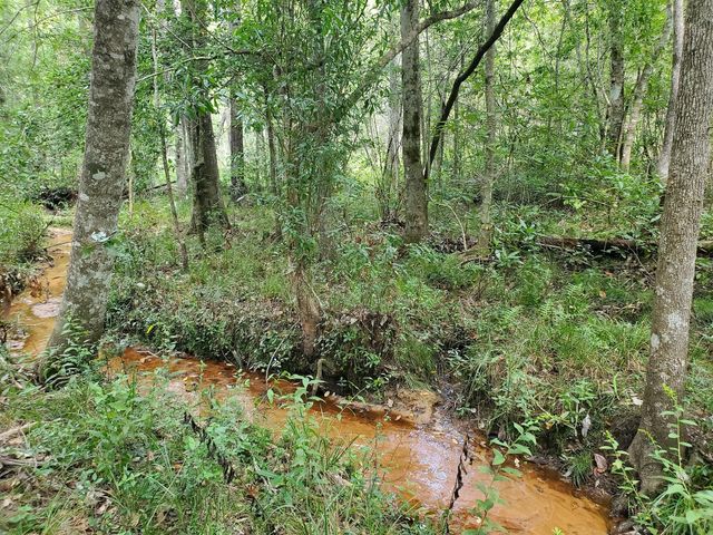 331 County Road 3240, Colmesneil, TX 75938