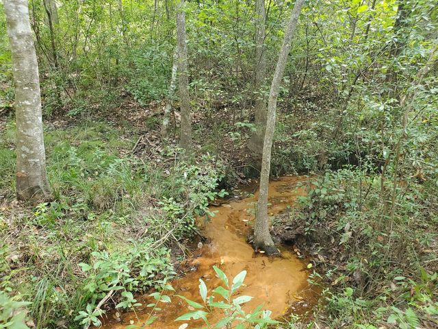 331 County Road 3240, Colmesneil, TX 75938