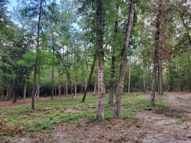 331 County Road 3240, Colmesneil, TX 75938