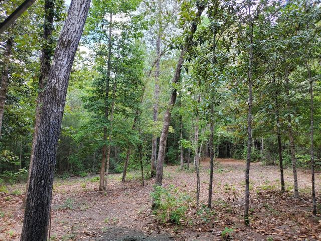 331 County Road 3240, Colmesneil, TX 75938