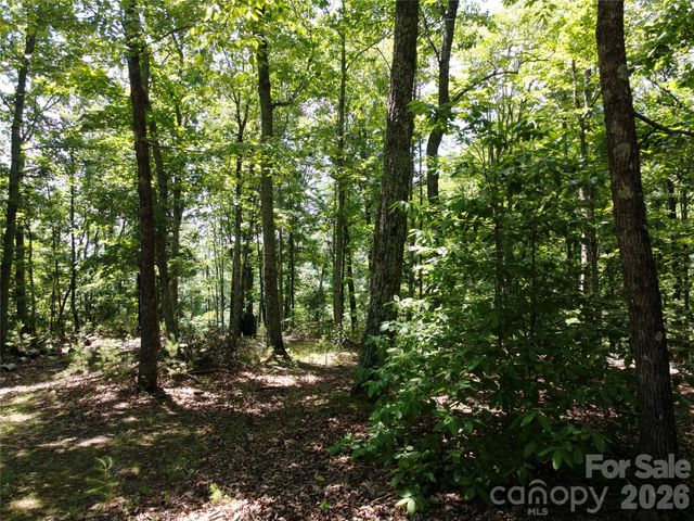 118 Upper Ridge Road, Bostic, NC 28018