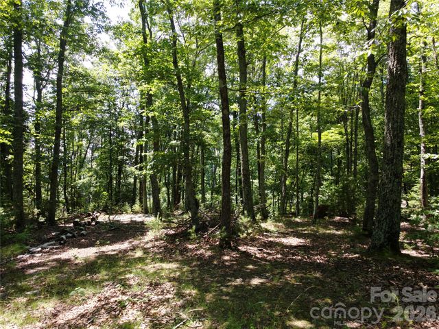 118 Upper Ridge Road, Bostic, NC 28018