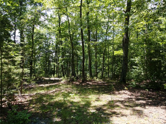 118 Upper Ridge Road, Bostic, NC 28018