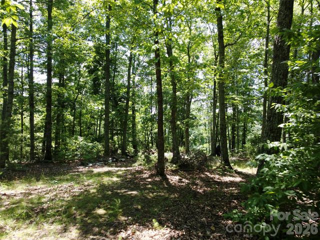 118 Upper Ridge Road, Bostic, NC 28018