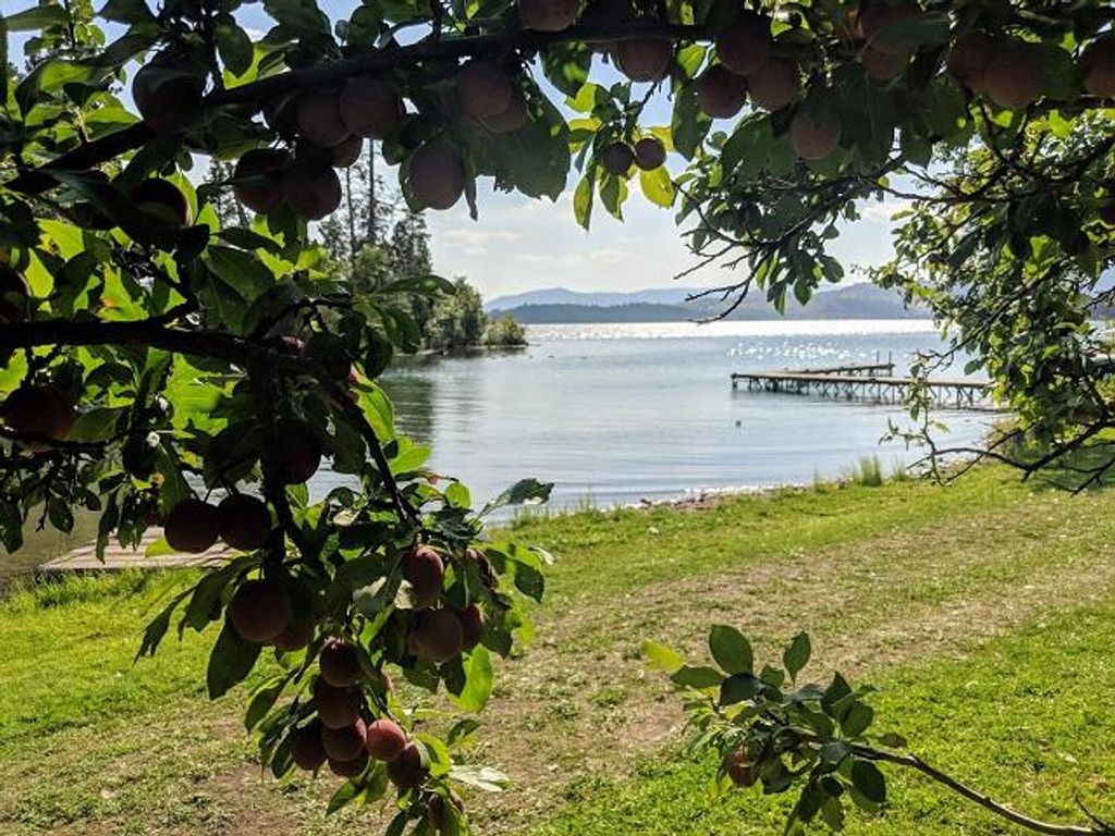 41322 Mello Cove Lane, Dayton, MT 59914