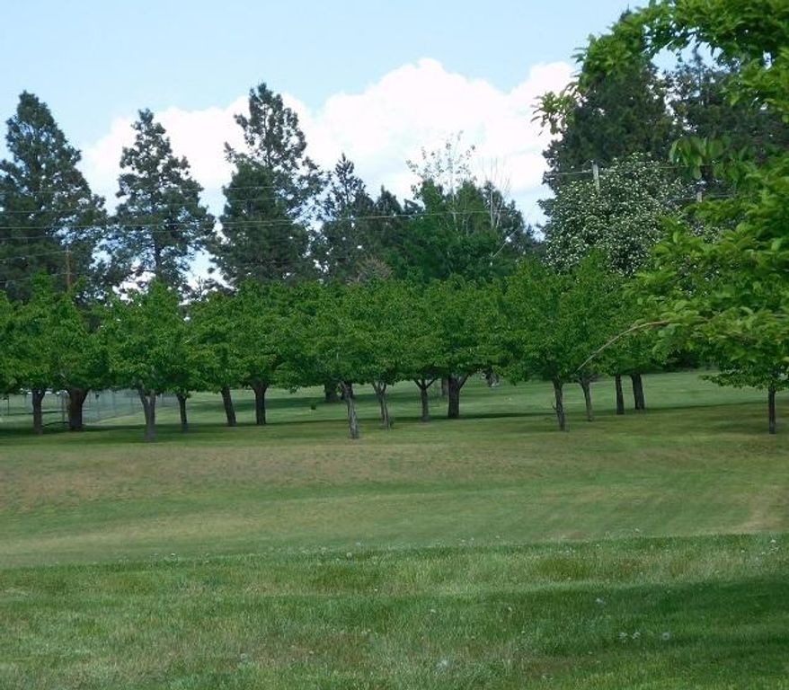 41322 Mello Cove Lane, Dayton, MT 59914 photo 10