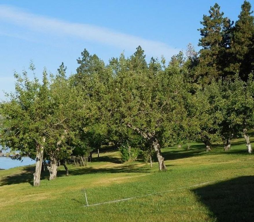 41322 Mello Cove Lane, Dayton, MT 59914 photo 14