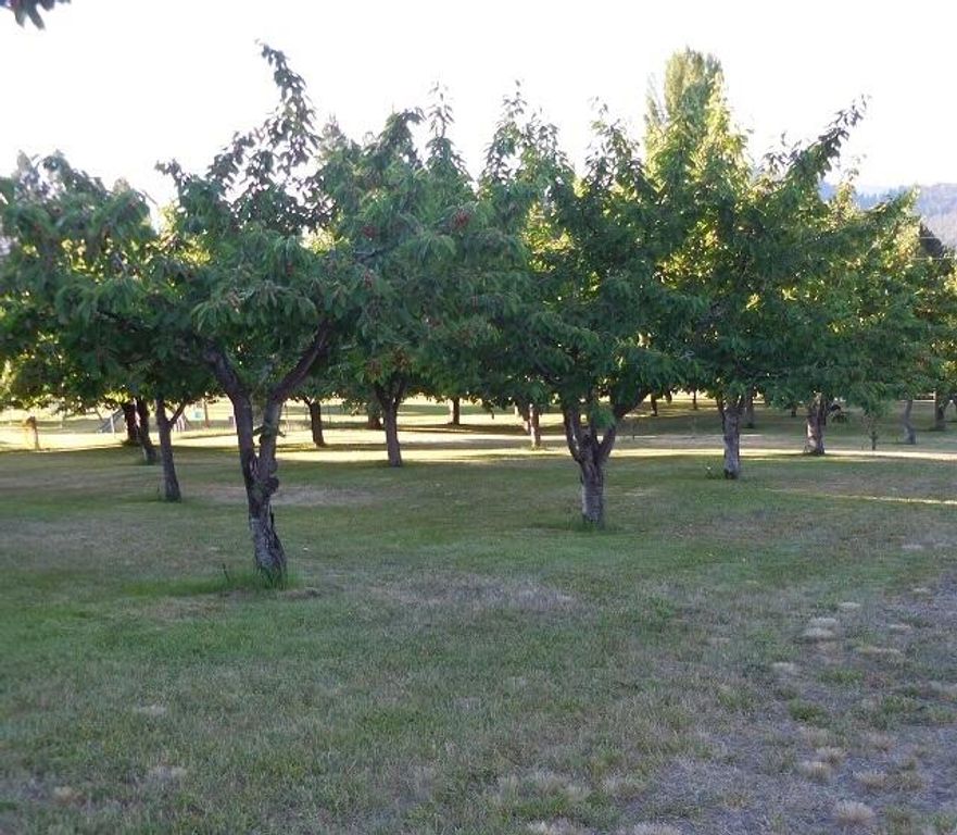 41322 Mello Cove Lane, Dayton, MT 59914 photo 16