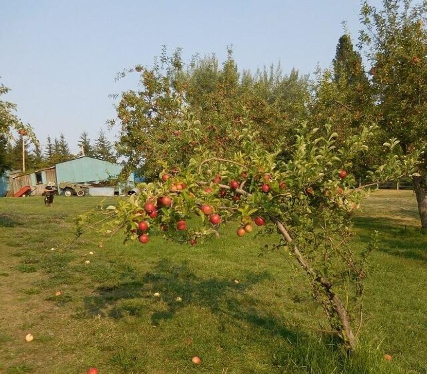 41322 Mello Cove Lane, Dayton, MT 59914 photo 61