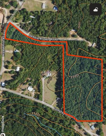 9.5 acres Debbie Brown Rd, Purvis, MS 39475