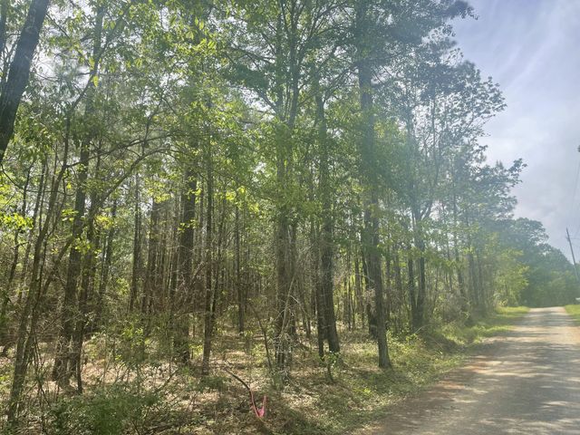 9.5 acres Debbie Brown Rd, Purvis, MS 39475