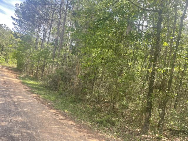 9.5 acres Debbie Brown Rd, Purvis, MS 39475