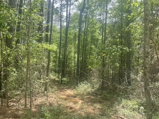 9.5 acres Debbie Brown Rd, Purvis, MS 39475