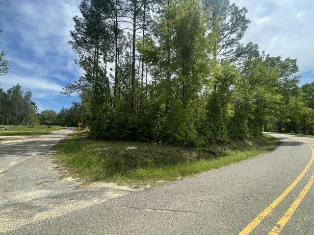 9.5 acres Debbie Brown Rd, Purvis, MS 39475