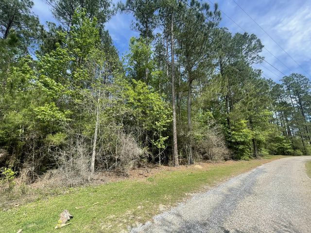 9.5 acres Debbie Brown Rd, Purvis, MS 39475