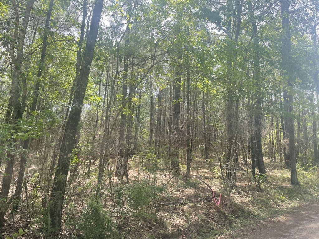 9.5 acres Debbie Brown Rd, Purvis, MS 39475
