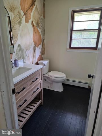 17211 BIG FALLS RD, Monkton, MD 21111