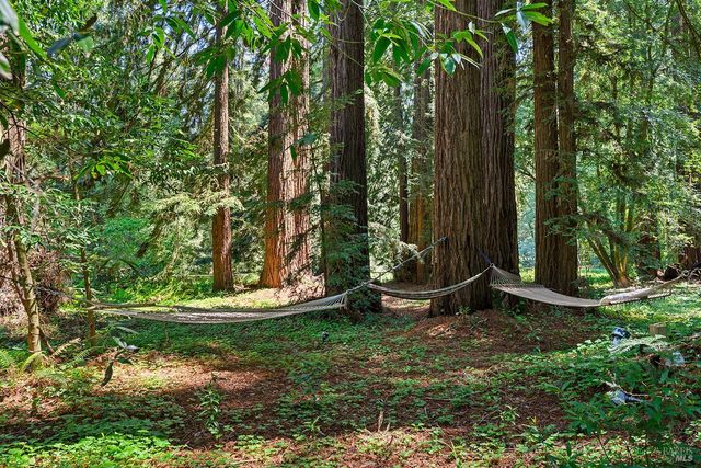 1650 Jonive Rd, Sebastopol, CA 95472