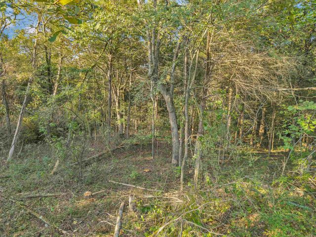 60 Barbara's Trail, Hattieville, AR 72063