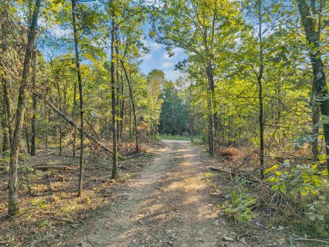 60 Barbara's Trail, Hattieville, AR 72063